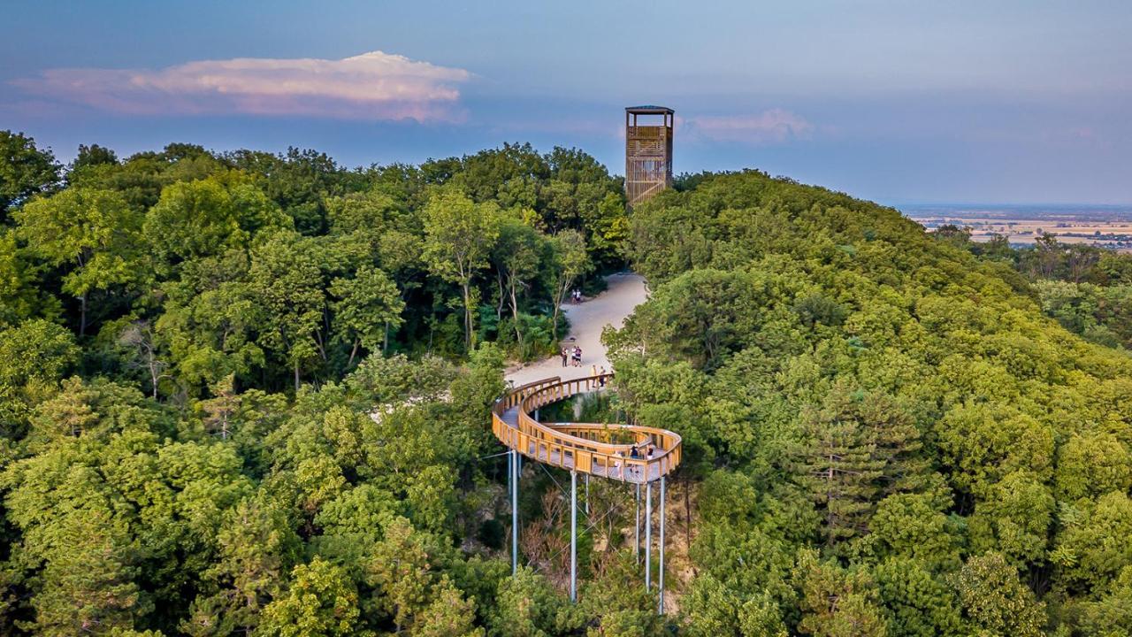 Bed and Breakfast Panorama Birtok - Wellness Panzio, Konferencia Es Rendezvenykoezpont Gyorujbarat Экстерьер фото