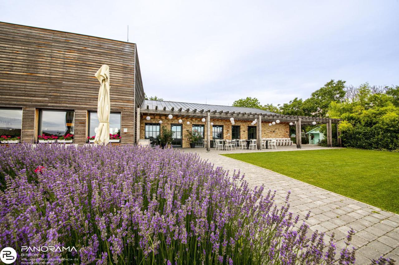 Bed and Breakfast Panorama Birtok - Wellness Panzio, Konferencia Es Rendezvenykoezpont Gyorujbarat Экстерьер фото